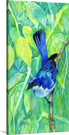 "Bluebird #1 2016", Girija Kulkarni