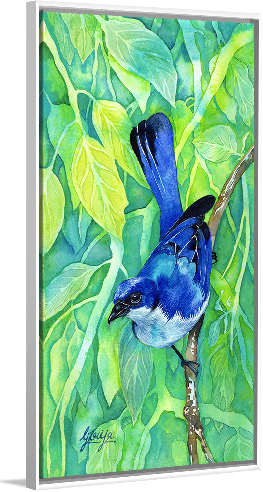 "Bluebird #1 2016", Girija Kulkarni