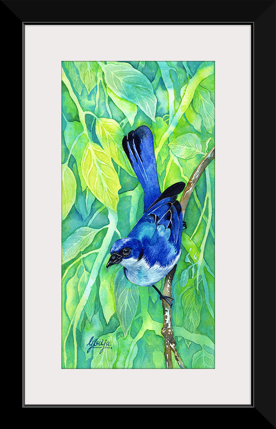 "Bluebird #1 2016", Girija Kulkarni