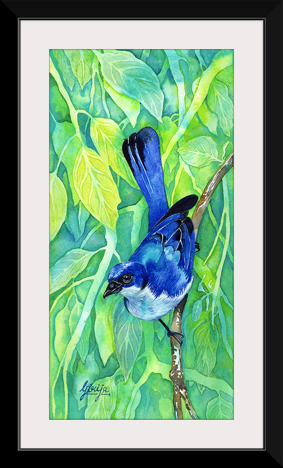 "Bluebird #1 2016", Girija Kulkarni