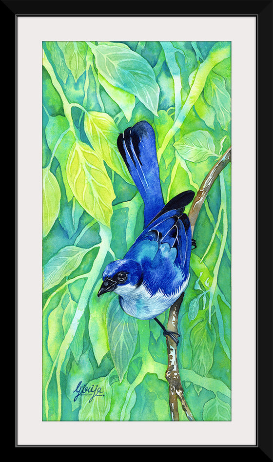 "Bluebird #1 2016", Girija Kulkarni