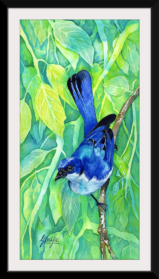 "Bluebird #1 2016", Girija Kulkarni