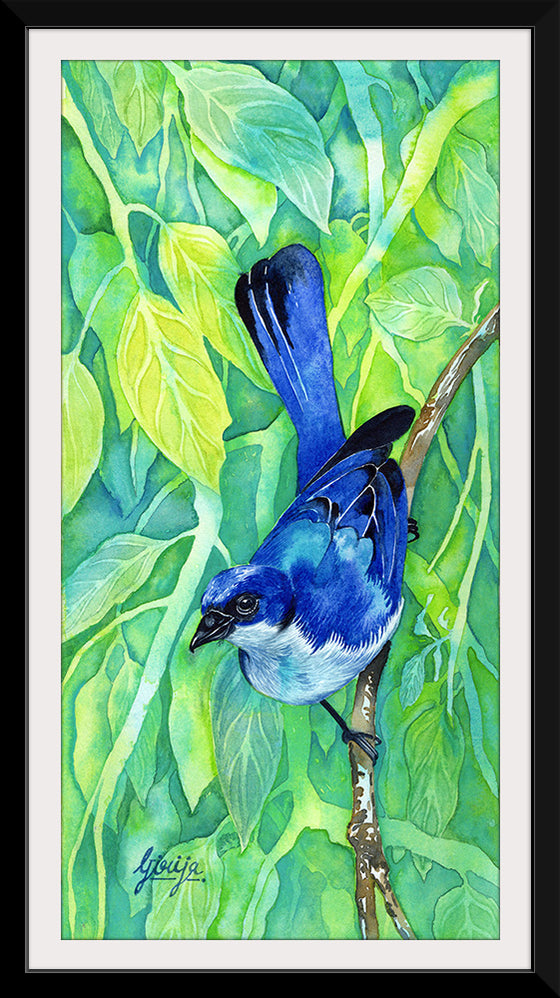 "Bluebird #1 2016", Girija Kulkarni