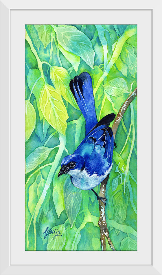 "Bluebird #1 2016", Girija Kulkarni