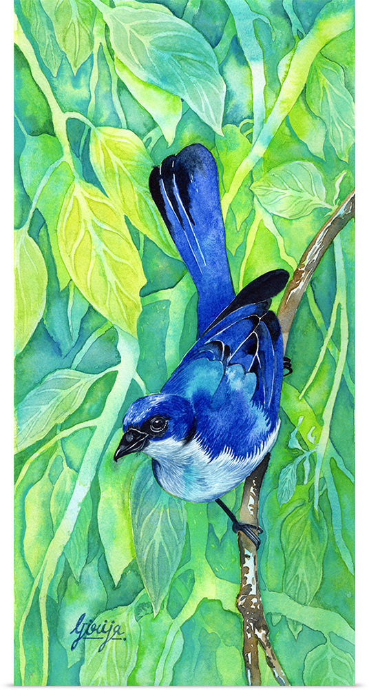 "Bluebird #1 2016", Girija Kulkarni