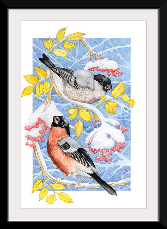 “Bullfinch in Snow", Girija Kulkarni