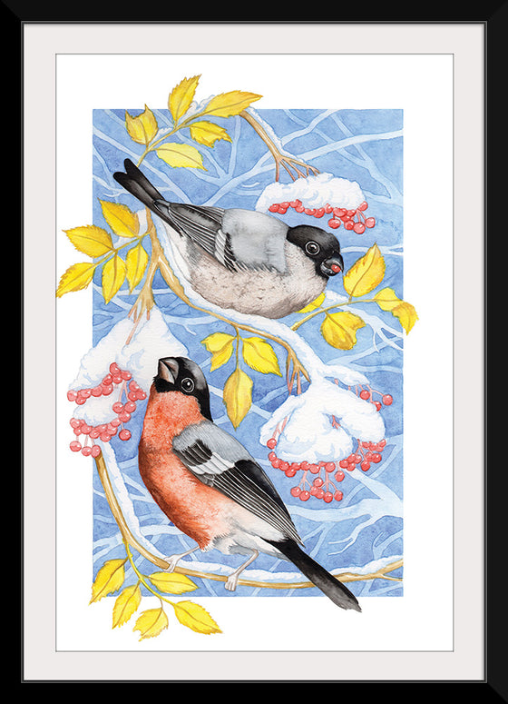 “Bullfinch in Snow", Girija Kulkarni