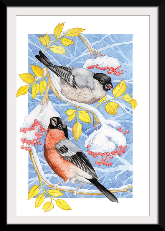 “Bullfinch in Snow", Girija Kulkarni