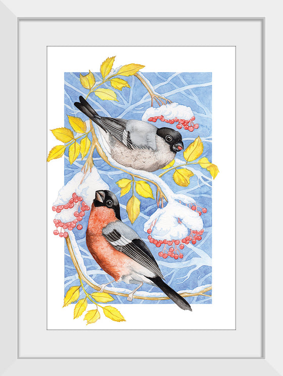 “Bullfinch in Snow", Girija Kulkarni