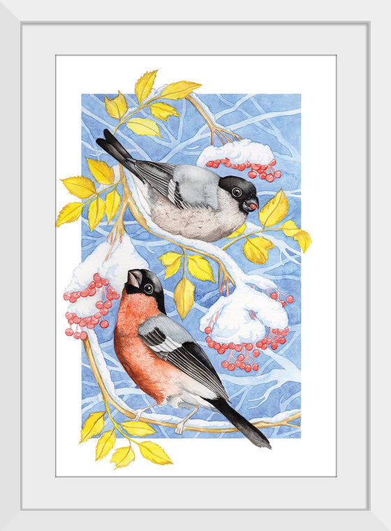 “Bullfinch in Snow", Girija Kulkarni