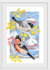 “Bullfinch in Snow", Girija Kulkarni