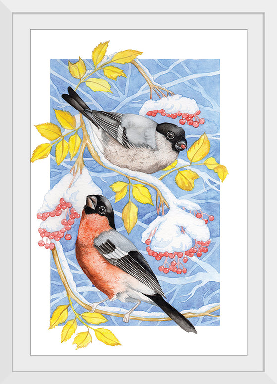 “Bullfinch in Snow", Girija Kulkarni