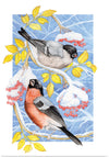 “Bullfinch in Snow", Girija Kulkarni