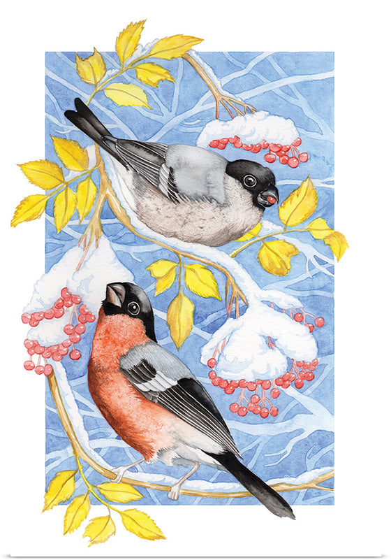 “Bullfinch in Snow", Girija Kulkarni