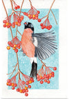 “Bullfinch Snacktime", Girija Kulkarni