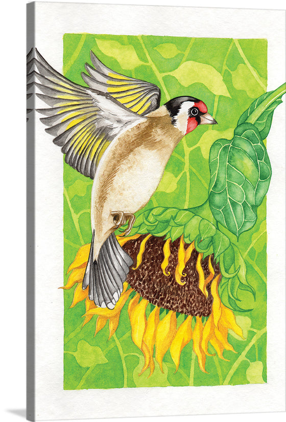 “Goldfinch and Sunflower", Girija Kulkarni