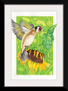 “Goldfinch and Sunflower", Girija Kulkarni