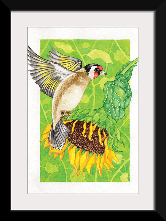 “Goldfinch and Sunflower", Girija Kulkarni