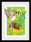 “Goldfinch and Sunflower", Girija Kulkarni