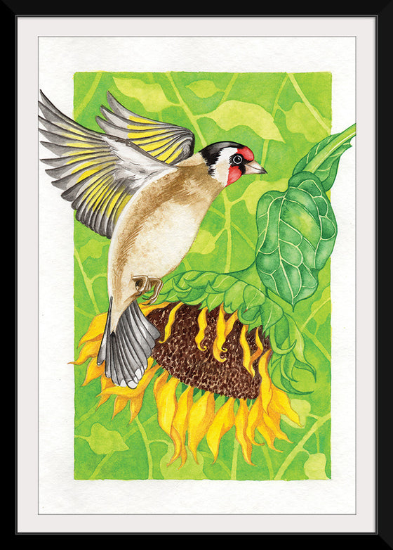 “Goldfinch and Sunflower", Girija Kulkarni