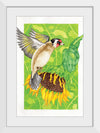 “Goldfinch and Sunflower", Girija Kulkarni