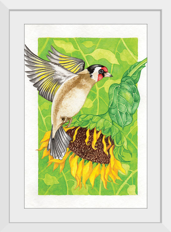 “Goldfinch and Sunflower", Girija Kulkarni