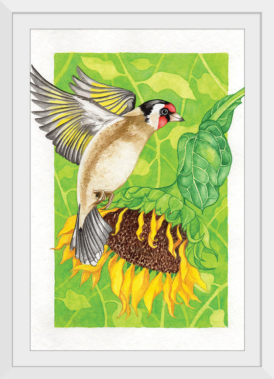 “Goldfinch and Sunflower", Girija Kulkarni