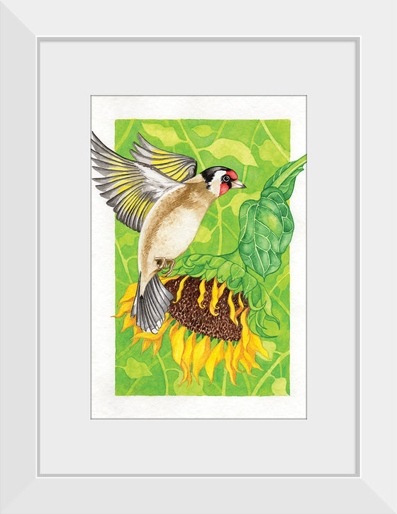 “Goldfinch and Sunflower", Girija Kulkarni