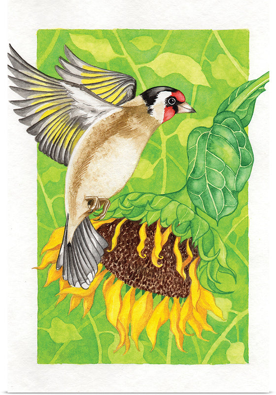 “Goldfinch and Sunflower", Girija Kulkarni