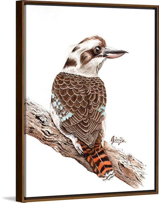 “Laughing Kookaburra #18", Girija Kulkarni