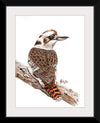 “Laughing Kookaburra #18", Girija Kulkarni