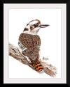 “Laughing Kookaburra #18", Girija Kulkarni