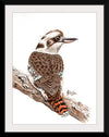 “Laughing Kookaburra #18", Girija Kulkarni