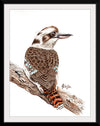 “Laughing Kookaburra #18", Girija Kulkarni