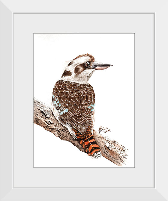 “Laughing Kookaburra #18", Girija Kulkarni