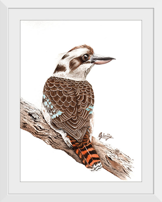 “Laughing Kookaburra #18", Girija Kulkarni