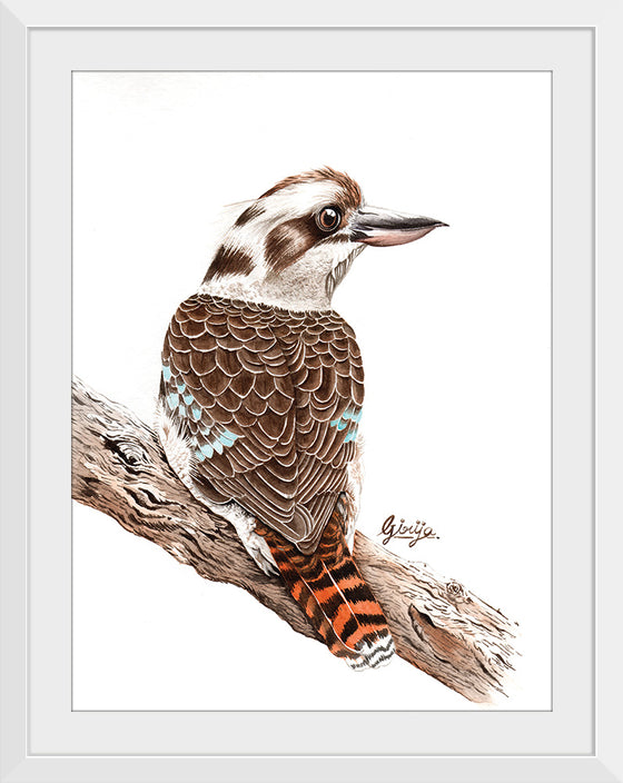 “Laughing Kookaburra #18", Girija Kulkarni