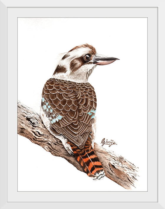 “Laughing Kookaburra #18", Girija Kulkarni