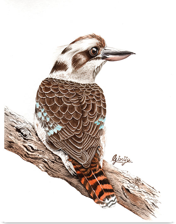 “Laughing Kookaburra #18", Girija Kulkarni