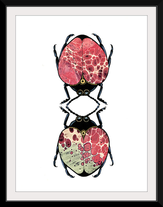 "2 Pinkbugs", Ann Hutchinson