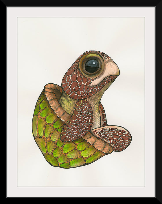 "Baby Turtle", Ann Hutchinson