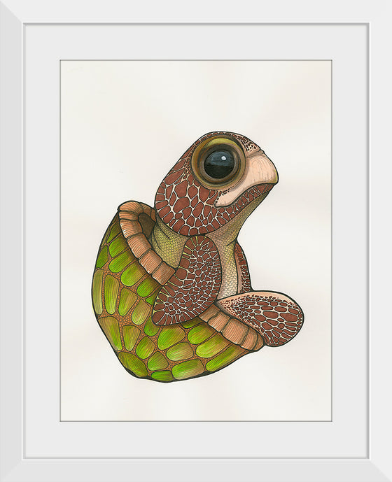 "Baby Turtle", Ann Hutchinson