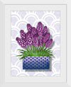 "Blue Pot Hyacinth BG 2020", Ann Hutchinson