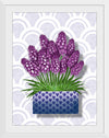 "Blue Pot Hyacinth BG 2020", Ann Hutchinson