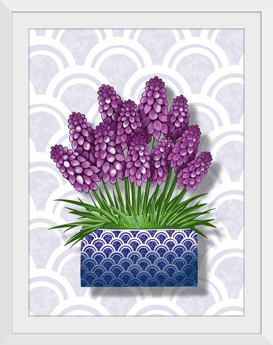 "Blue Pot Hyacinth BG 2020", Ann Hutchinson