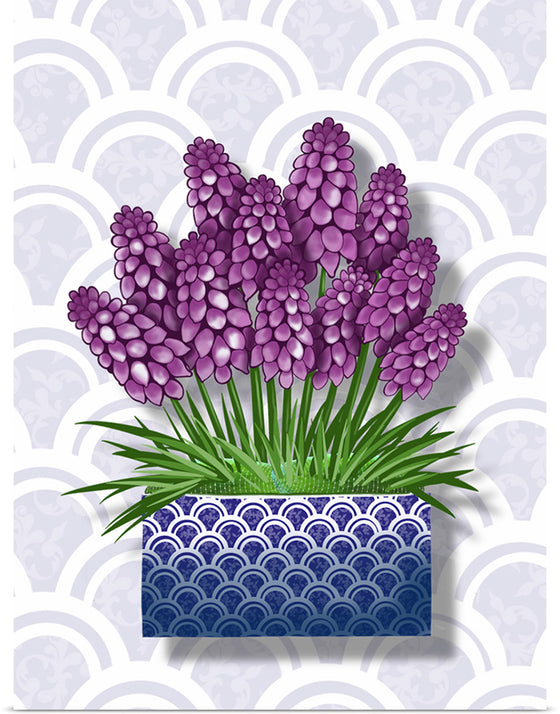 "Blue Pot Hyacinth BG 2020", Ann Hutchinson