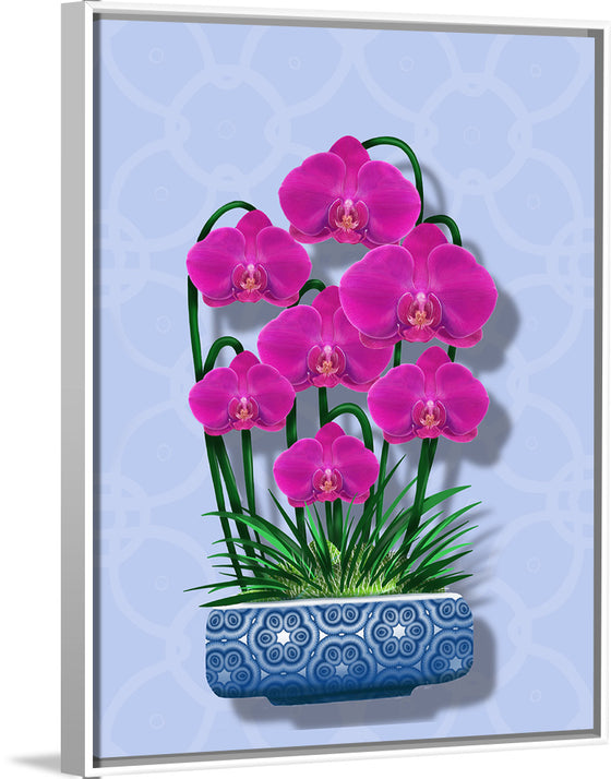 "Blue Pot Orchid BG 2020", Ann Hutchinson