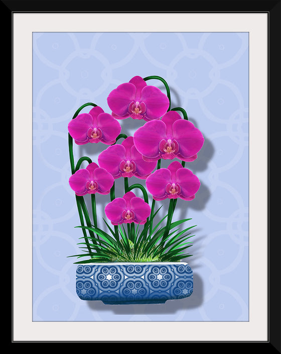 "Blue Pot Orchid BG 2020", Ann Hutchinson