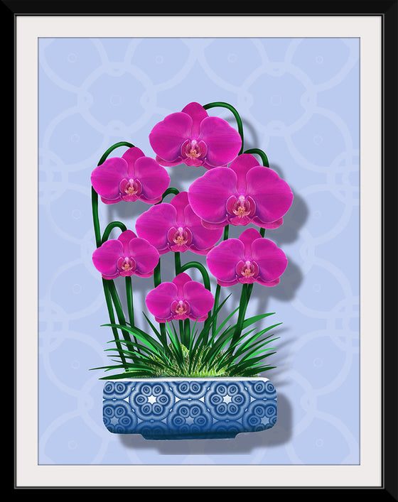 "Blue Pot Orchid BG 2020", Ann Hutchinson