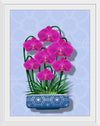 "Blue Pot Orchid BG 2020", Ann Hutchinson